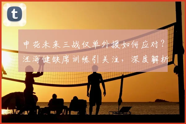 申花未来三战仅单外援如何应对？汪海健缺席训练引关注，深度解析球队前景